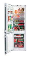 Tủ lạnh Electrolux ERN 2921 ảnh