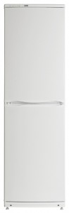 Холодильник ATLANT ХМ 6023-100 фото