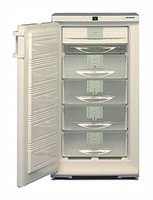Tủ lạnh Liebherr GSN 2023 ảnh