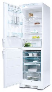 Холодильник Electrolux ERB 3911 фото