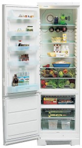 Buzdolabı Electrolux ERE 3901 fotoğraf