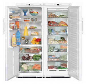 Tủ lạnh Liebherr SBS 6102 ảnh