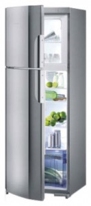 Tủ lạnh Gorenje RF 63304 E ảnh