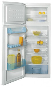 Refrigerator BEKO DSK 25000 larawan