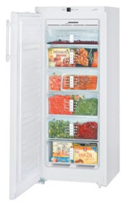 Refrigerator Liebherr GN 2313 larawan
