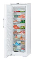 Tủ lạnh Liebherr GN 3066 ảnh