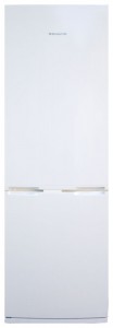 Tủ lạnh Snaige RF31SH-S10001 ảnh