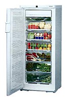 Tủ lạnh Liebherr BSS 2986 ảnh