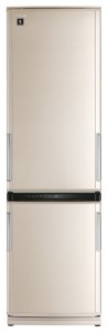Refrigerator Sharp SJ-WP371TBE larawan