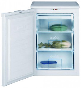 Refrigerator BEKO FNE 1070 larawan
