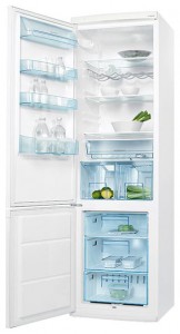 Refrigerator Electrolux ERB 40233 W larawan
