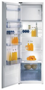 Kühlschrank Gorenje RBI 41315 Foto