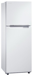 Tủ lạnh Samsung RT-22 HAR4DWW ảnh
