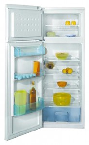 Tủ lạnh BEKO DSA 25020 ảnh