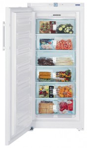 Refrigerator Liebherr GNP 3166 larawan