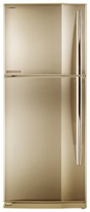 Tủ lạnh Toshiba GR-M49TR RC ảnh