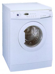 洗濯機 Samsung P1003JGW 写真