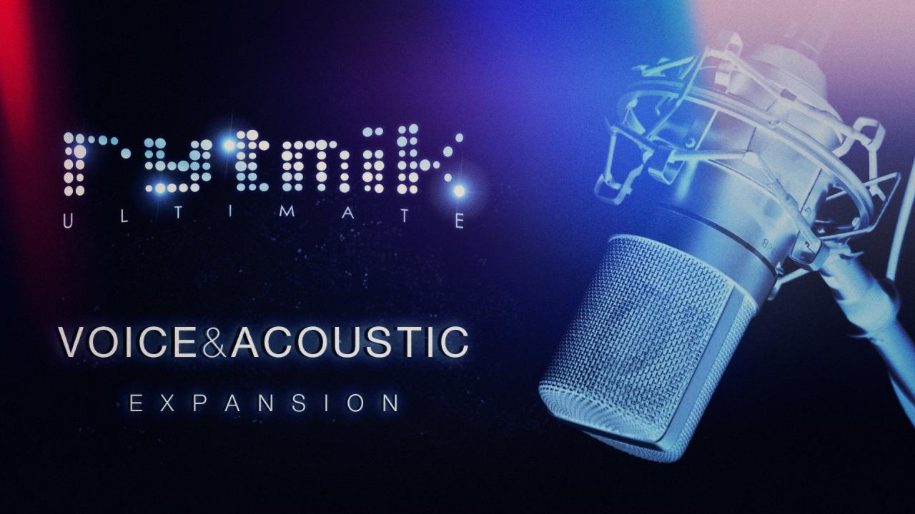 Rytmik Ultimate – Voice & Acoustic Expansion DLC Steam CD Key USD 1.86